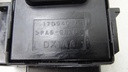 DSC06208.JPG
