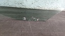 PXL_20230216_102403185.jpg