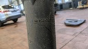 PXL_20230221_084647268.jpg