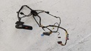 PXL_20230224_103202970.jpg
