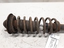 20230306_124411.jpg