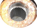 20230306_124828.jpg
