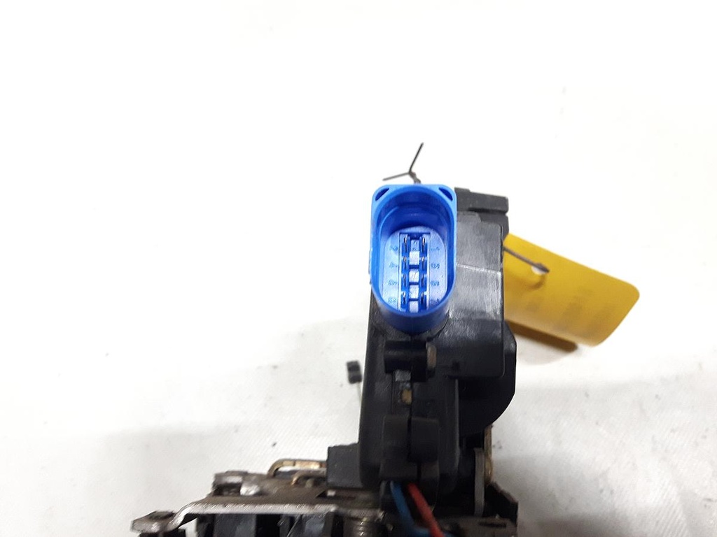 20230308_171731.jpg