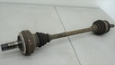DSC08204.JPG