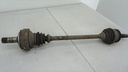 DSC08200.JPG