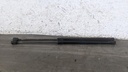 PXL_20230313_134306517.jpg