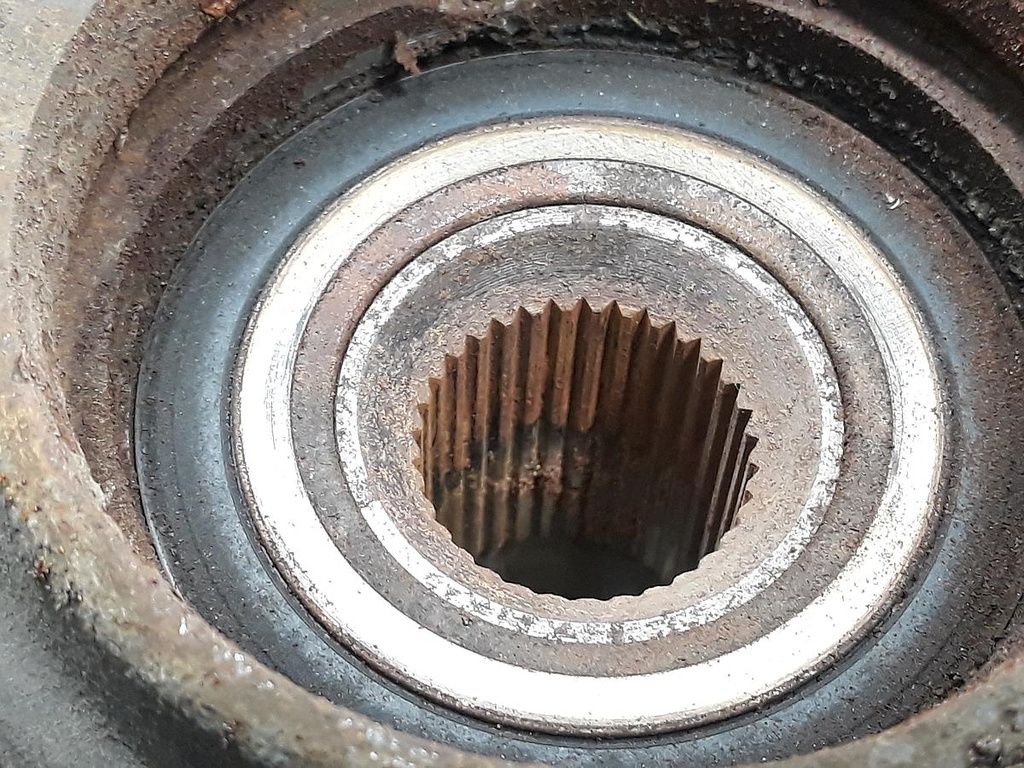 20230316_124740.jpg