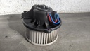 PXL_20230316_085452789.jpg