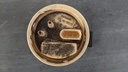 PXL_20230320_125448574.jpg