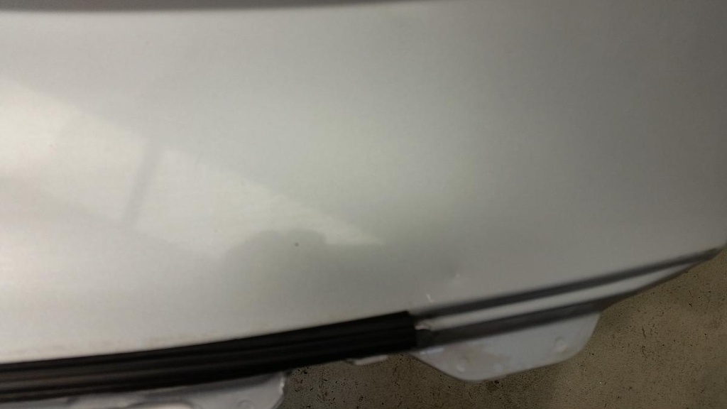 20230321_092217.jpg