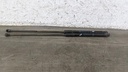 PXL_20230323_074708807.jpg