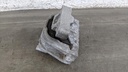 PXL_20230323_084635936.jpg