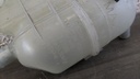 PXL_20230327_123054693.jpg