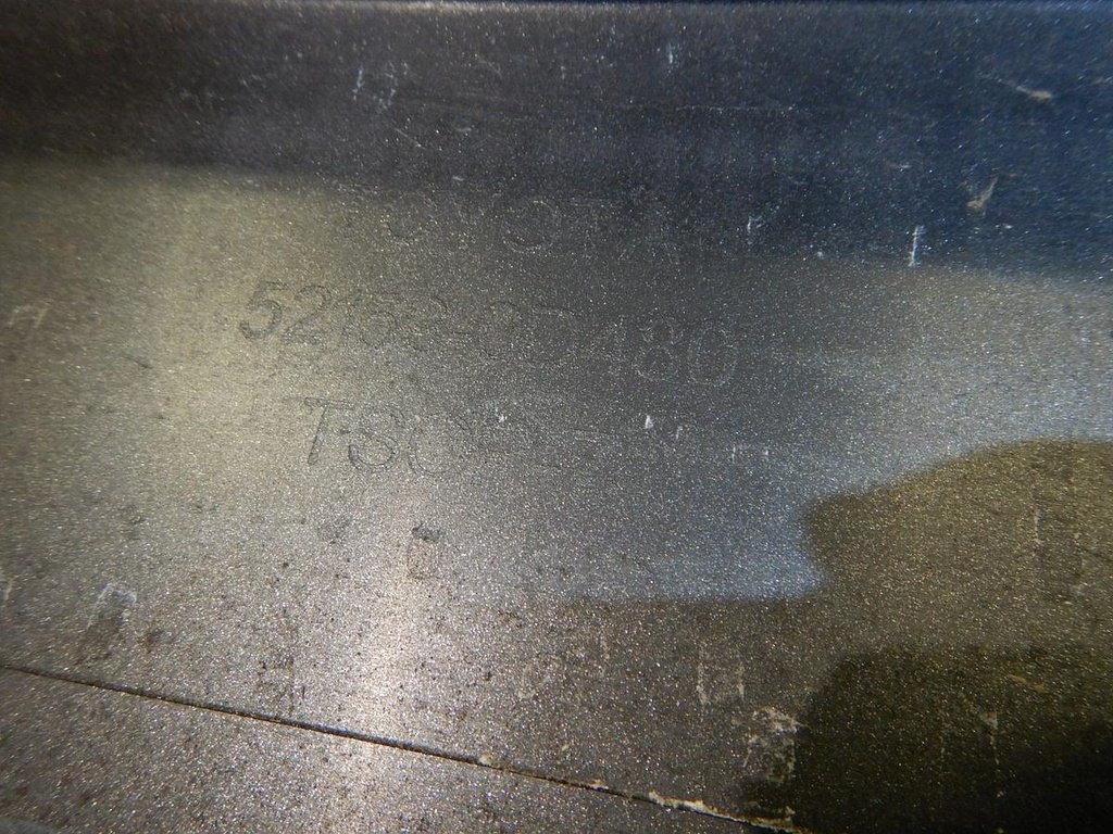 DSCN8100.JPG
