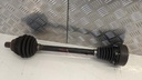 PXL_20230330_095251170.jpg