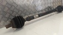 PXL_20230330_095449487.jpg