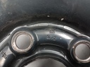 IMG_20230331_080309564.jpg
