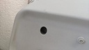 PXL_20230331_091719439.jpg