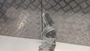 PXL_20230331_095739558.jpg