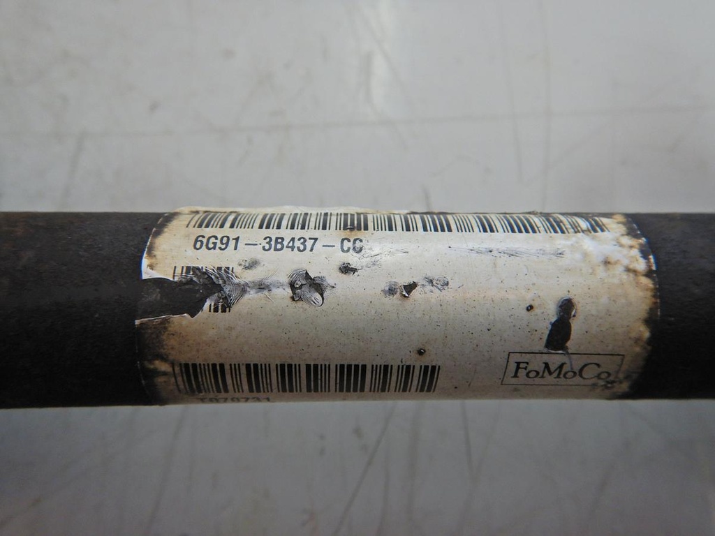 DSCN1970.JPG