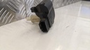 PXL_20230403_124656050.jpg