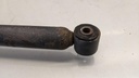 PXL_20230404_072952780.jpg