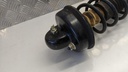 PXL_20230404_072941376.jpg