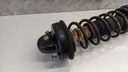 PXL_20230404_072927938.jpg