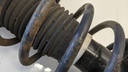 PXL_20230404_073142075.jpg