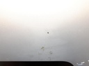 20230412_145735.jpg
