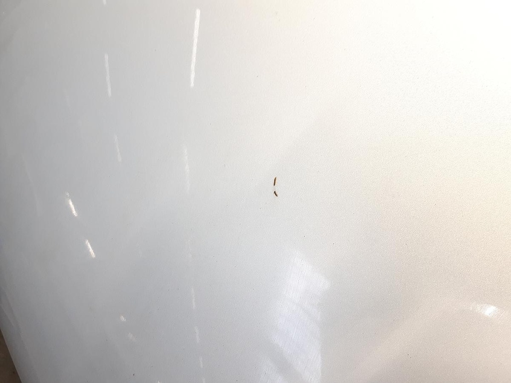 20230412_145716.jpg