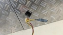 PXL_20230417_094214722.jpg