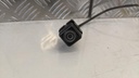 PXL_20230417_094141029.jpg