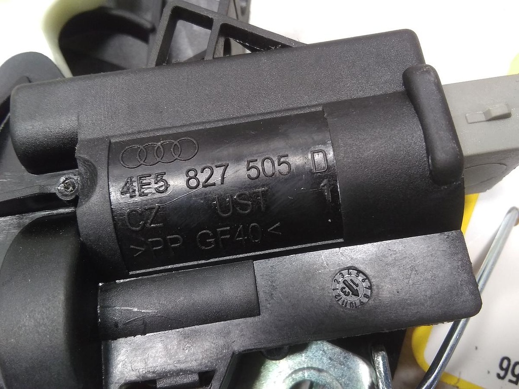 16819894254943711208158382642781.jpg