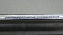 DSC02420.JPG