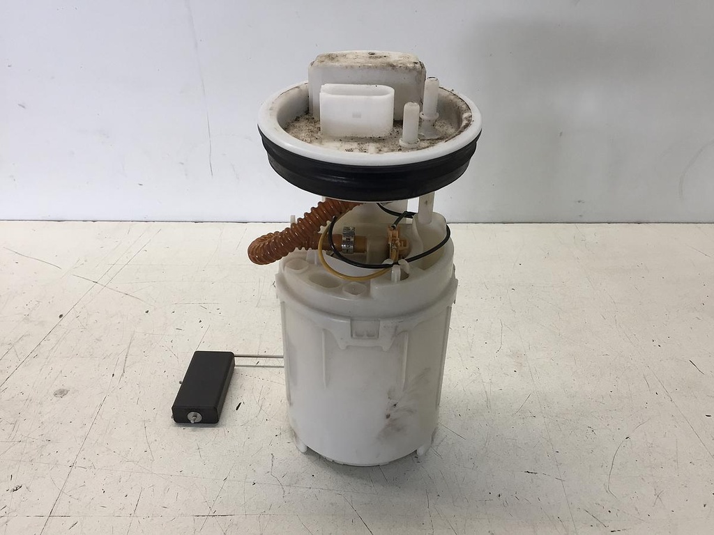 IMG_1307.JPG
