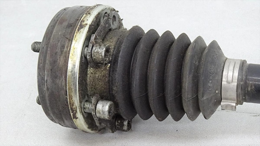 DSC03706.JPG