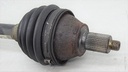 DSC03704.JPG