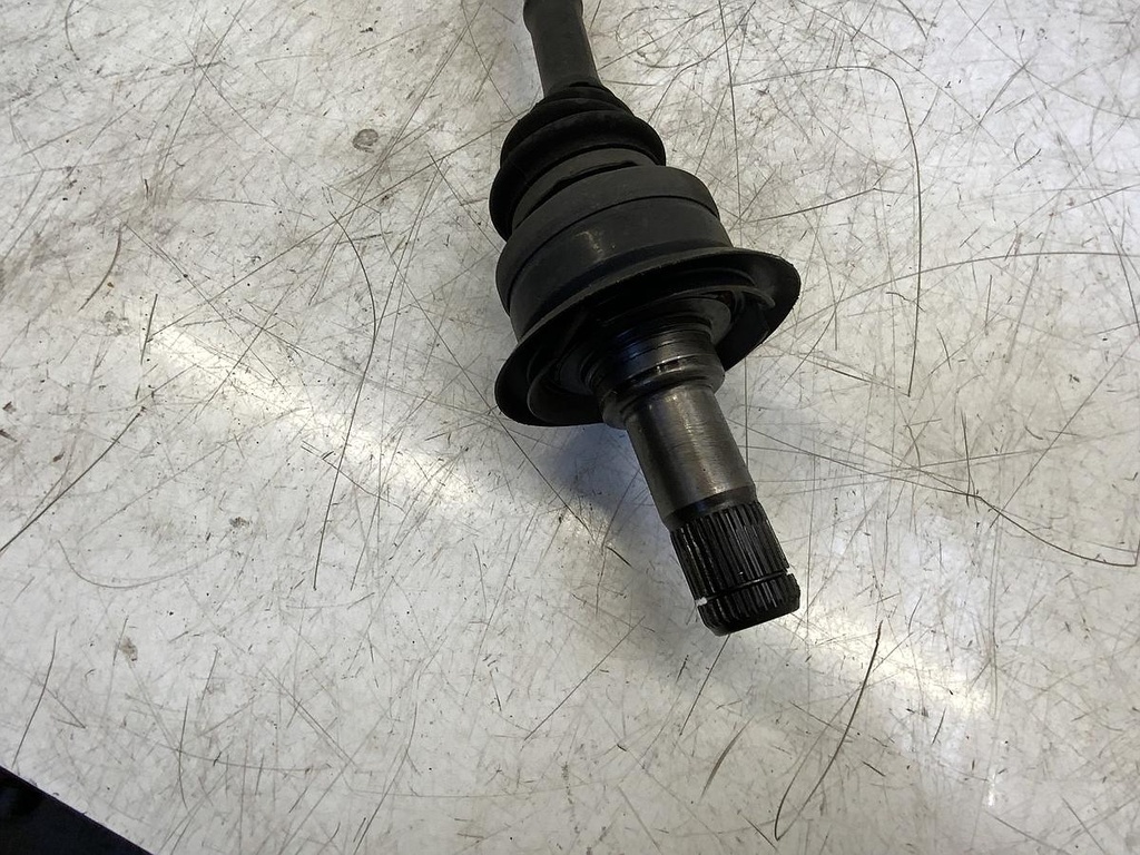 DD583A58-B261-455D-B1AB-80E8F4FFE665.jpeg