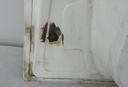 DSC05188.JPG