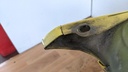PXL_20230612_114042700.jpg