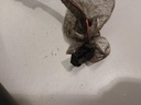 IMG_20230613_111718484.jpg
