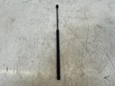 IMG_1489.jpeg