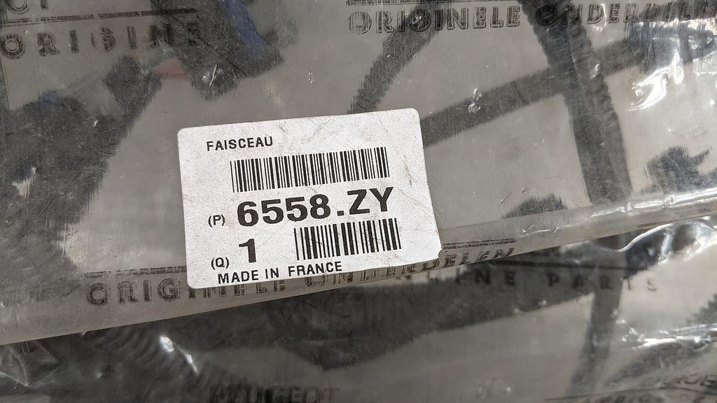 PXL_20230622_122527675 - Kopie.jpg