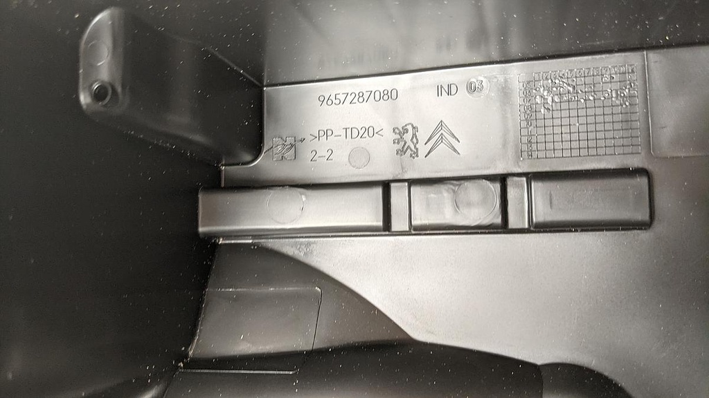 PXL_20230622_135349663.jpg