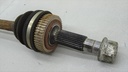 DSC07239.JPG