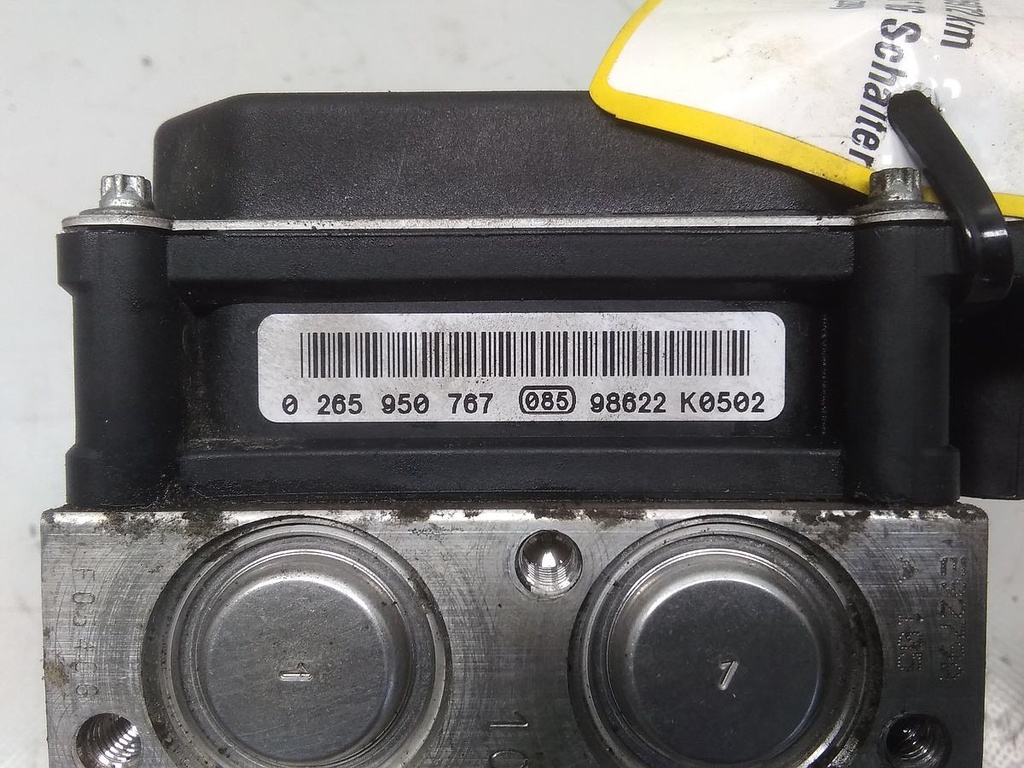 16879339446341121555346516895024.jpg