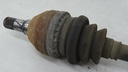 DSC07722.JPG