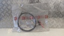 PXL_20230627_084322262.jpg