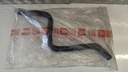 PXL_20230627_084901526.jpg